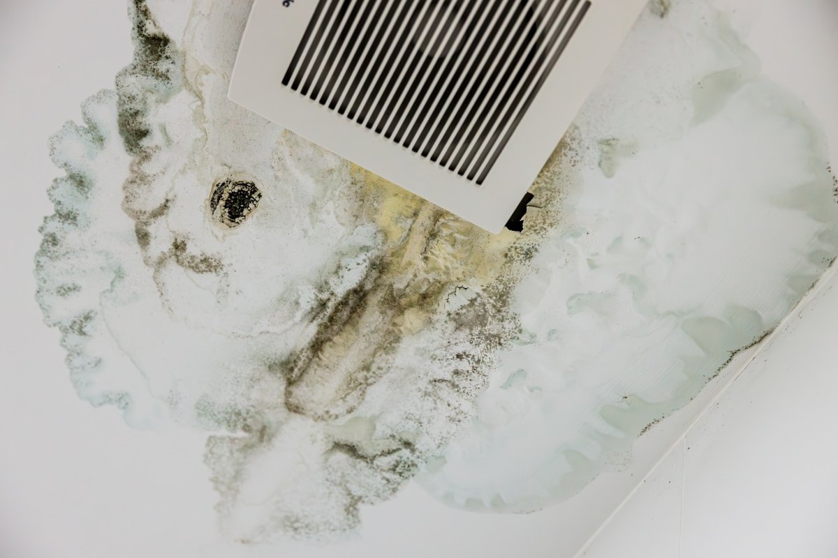 White ceiling around a bathroom exhaust fan with water staining and dark mold growth spreading across the paint